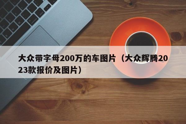 大众带字母200万的车图片（大众辉腾2023款报价及图片）