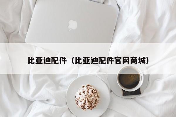 比亚迪配件（比亚迪配件官网商城）