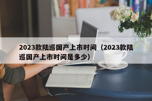 2023款陆巡国产上市时间（2023款陆巡国产上市时间是多少）