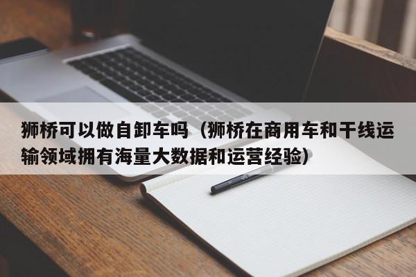 狮桥可以做自卸车吗（狮桥在商用车和干线运输领域拥有海量大数据和运营经验）