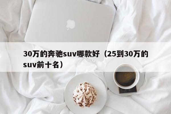 30万的奔驰suv哪款好（25到30万的suv前十名）