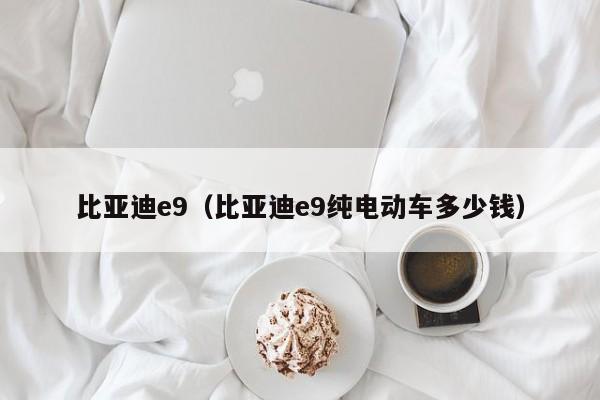 比亚迪e9（比亚迪e9纯电动车多少钱）