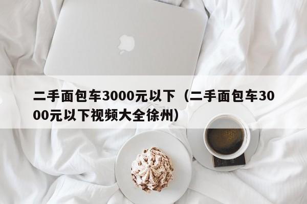 二手面包车3000元以下（二手面包车3000元以下视频大全徐州）