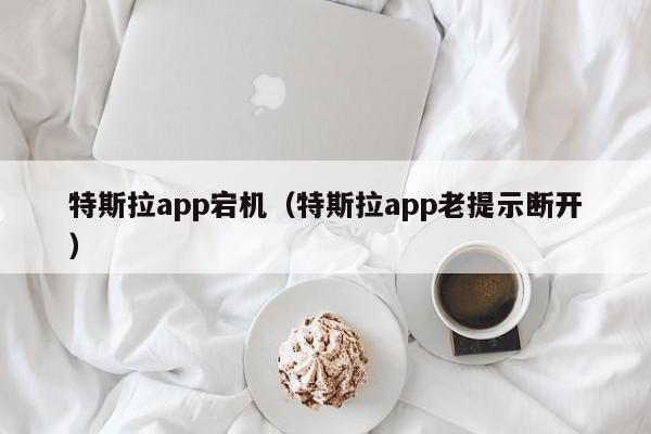 特斯拉app宕机（特斯拉app老提示断开）