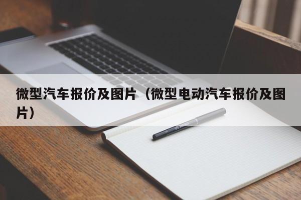 微型汽车报价及图片（微型电动汽车报价及图片）