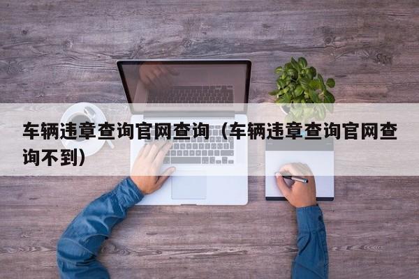 车辆违章查询官网查询（车辆违章查询官网查询不到）