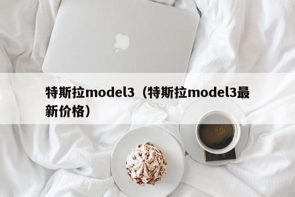 特斯拉model3（特斯拉model3最新价格）