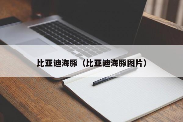 比亚迪海豚（比亚迪海豚图片）