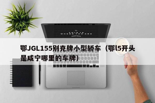 鄂JGL155别克牌小型轿车（鄂l5开头是咸宁哪里的车牌）