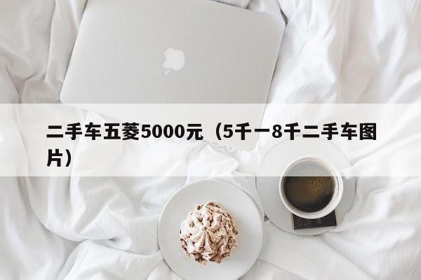 二手车五菱5000元（5千一8千二手车图片）