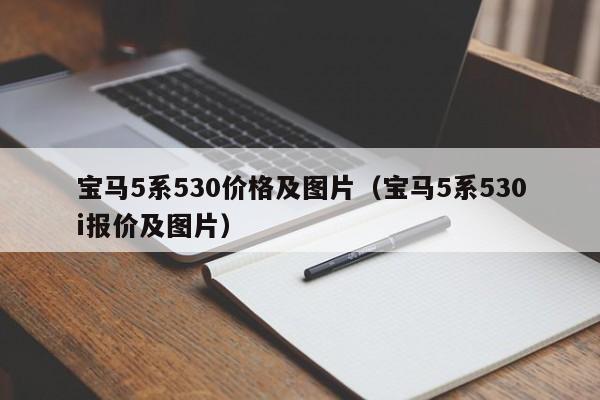 宝马5系530价格及图片（宝马5系530i报价及图片）