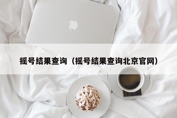 摇号结果查询（摇号结果查询北京官网）