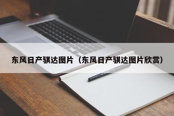 东风日产骐达图片（东风日产骐达图片欣赏）