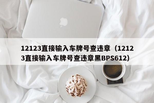 12123直接输入车牌号查违章（12123直接输入车牌号查违章黑BPS612）