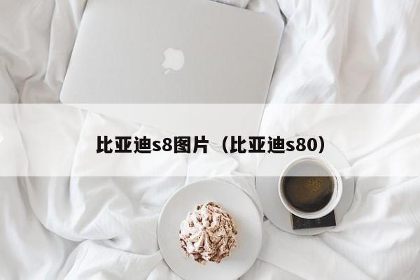 比亚迪s8图片（比亚迪s80）