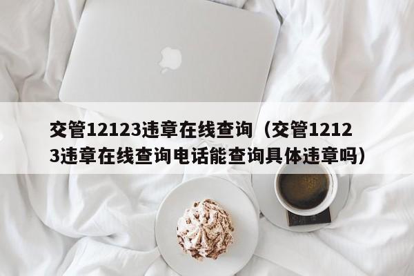 交管12123违章在线查询（交管12123违章在线查询电话能查询具体违章吗）