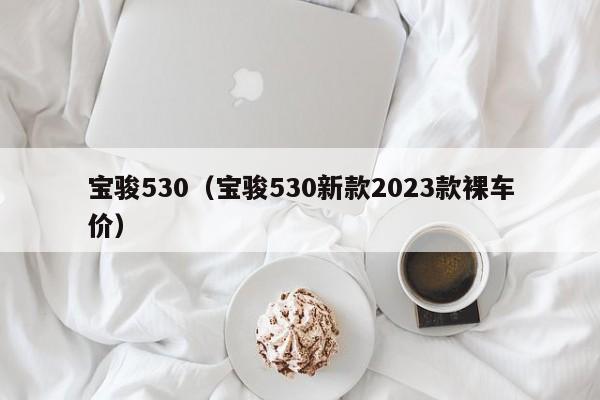 宝骏530（宝骏530新款2023款裸车价）