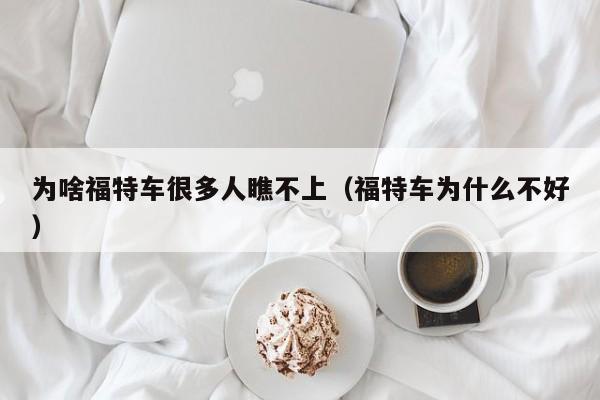 为啥福特车很多人瞧不上（福特车为什么不好）