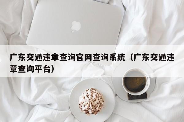 广东交通违章查询官网查询系统（广东交通违章查询平台）