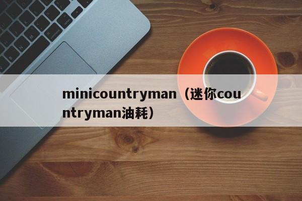 minicountryman（迷你countryman油耗）