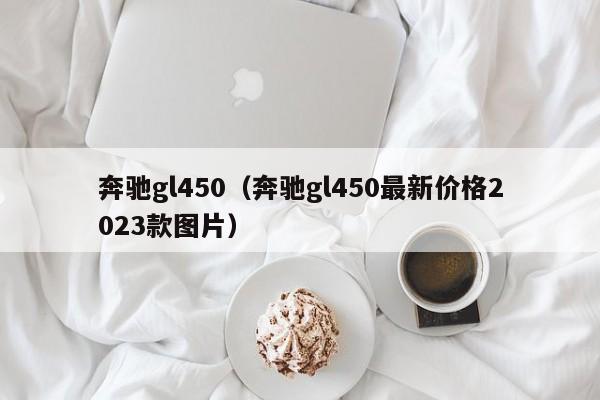 奔驰gl450（奔驰gl450最新价格2023款图片）