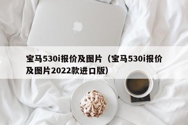 宝马530i报价及图片（宝马530i报价及图片2022款进口版）