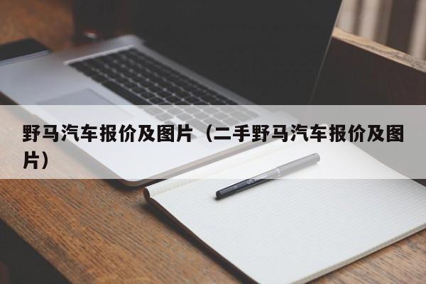 野马汽车报价及图片（二手野马汽车报价及图片）