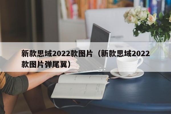 新款思域2022款图片（新款思域2022款图片弹尾翼）