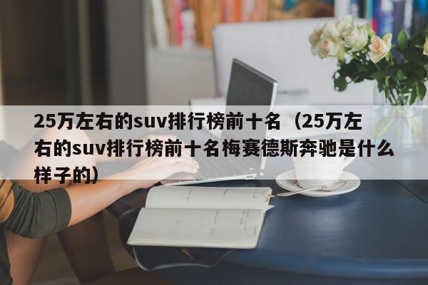 25万左右的suv排行榜前十名（25万左右的suv排行榜前十名梅赛德斯奔驰是什么样子的）