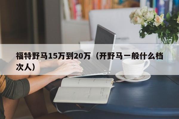 福特野马15万到20万（开野马一般什么档次人）