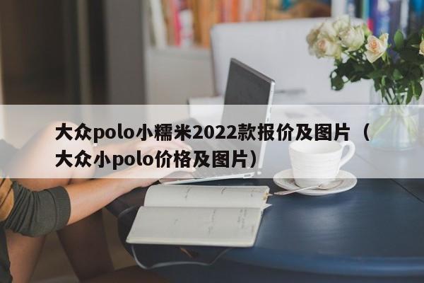 大众polo小糯米2022款报价及图片（大众小polo价格及图片）