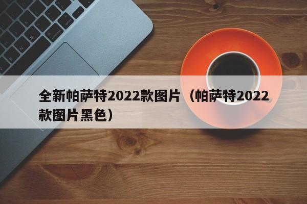 全新帕萨特2022款图片（帕萨特2022款图片黑色）