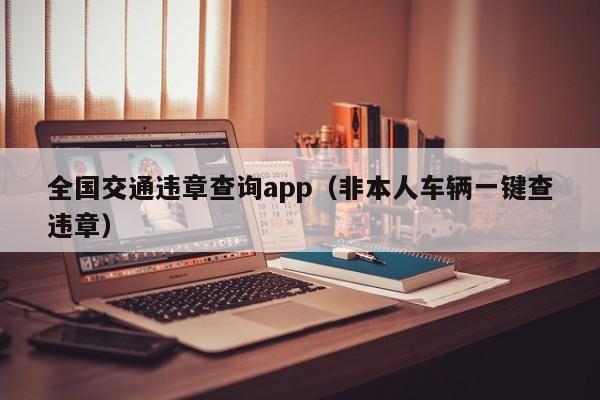 全国交通违章查询app（非本人车辆一键查违章）