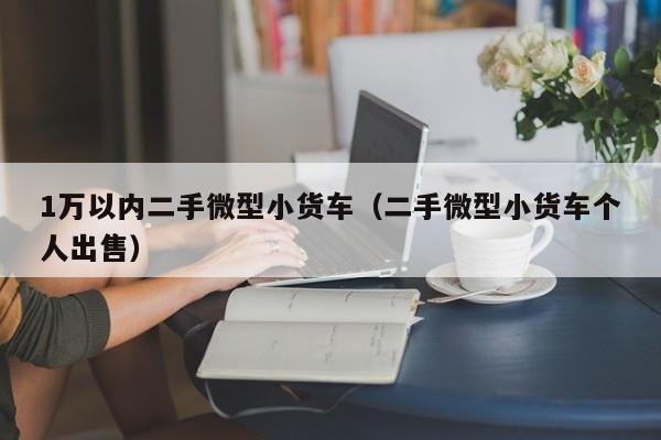 1万以内二手微型小货车（二手微型小货车个人出售）