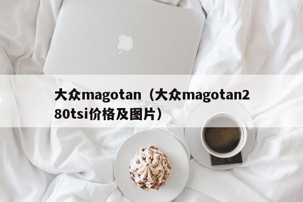 大众magotan（大众magotan280tsi价格及图片）