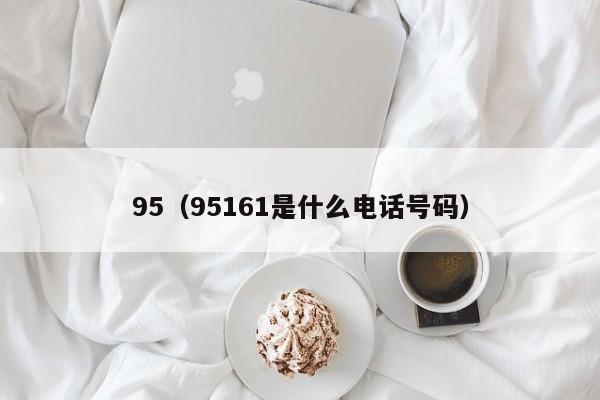 95（95161是什么电话号码）