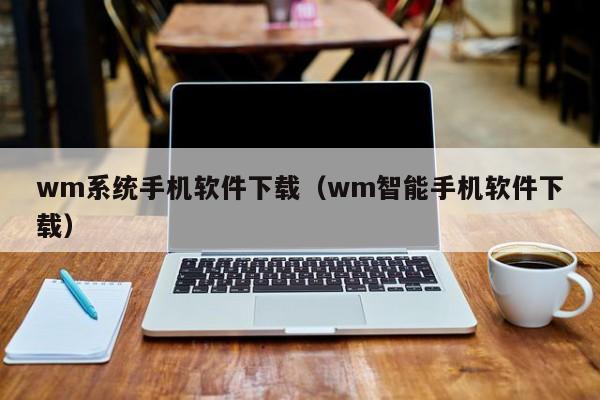 wm系统手机软件下载（wm智能手机软件下载）