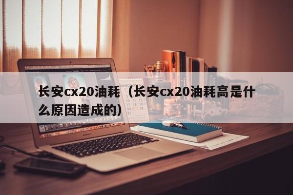 长安cx20油耗（长安cx20油耗高是什么原因造成的）