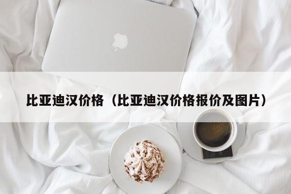 比亚迪汉价格（比亚迪汉价格报价及图片）