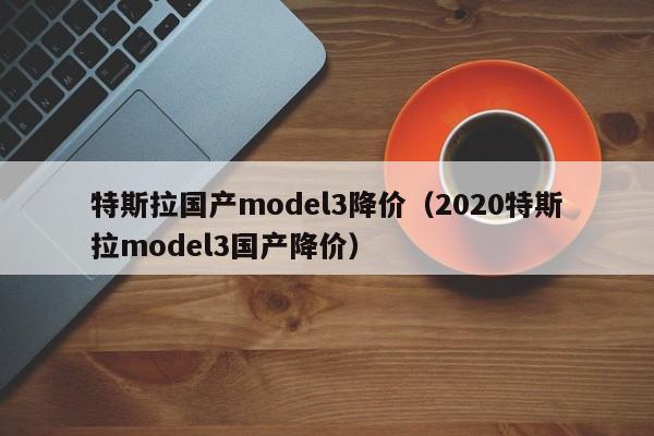 特斯拉国产model3降价（2020特斯拉model3国产降价）