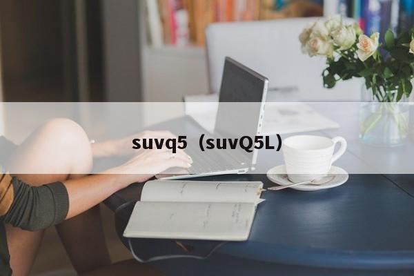 suvq5（suvQ5L）