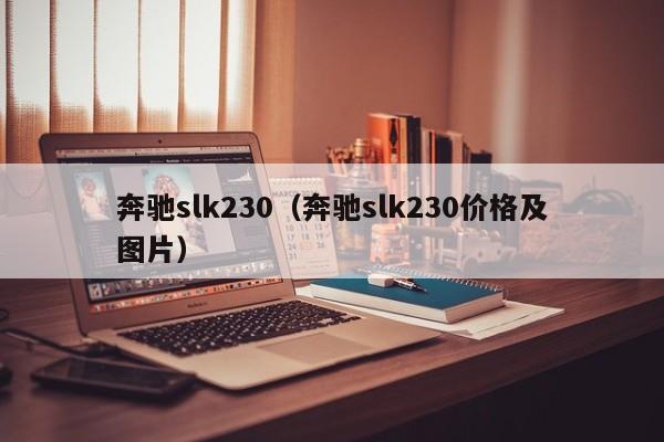 奔驰slk230（奔驰slk230价格及图片）