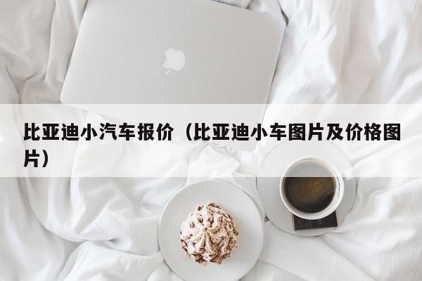 比亚迪小汽车报价（比亚迪小车图片及价格图片）