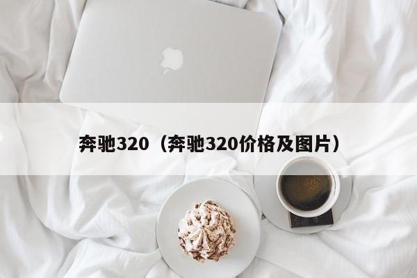 奔驰320（奔驰320价格及图片）