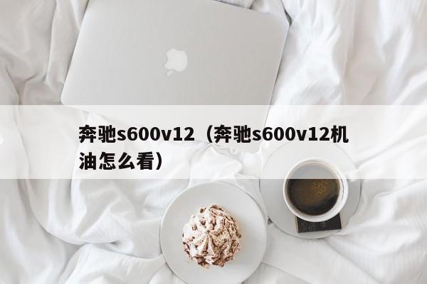 奔驰s600v12（奔驰s600v12机油怎么看）