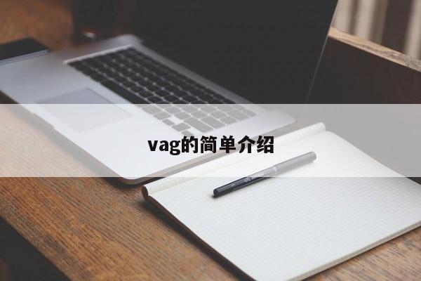 vag的简单介绍