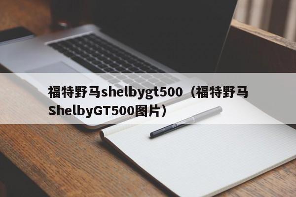 福特野马shelbygt500（福特野马ShelbyGT500图片）